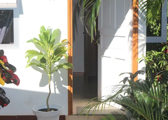 Garden Hut